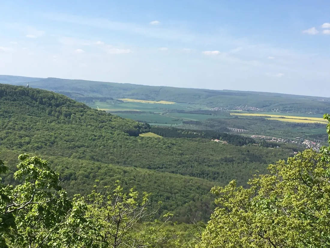 5 jeunes de Selongey partent en vacances grâce au Lions Club Dijon Argo